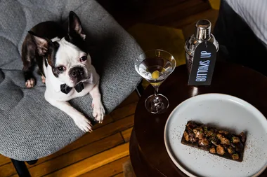 Pack Your Bags, A Luxurious Hotel Sleepover For You And Your Pooch Just Launched Across Australia