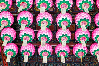 Colorful lotus-shaped lanterns with green leaves and hanging tags, displayed against an ornate patterned ceiling.