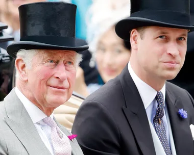 Prince William Apparently Felt ‘Disdain’ Toward Prince Charles Prior To His Divorce From Diana