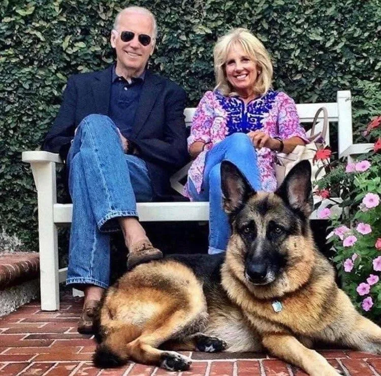 Champ, Joe Biden's dog