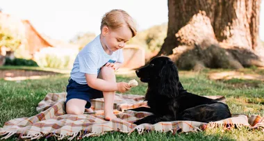 Prince William and Kate Middleton’s Beloved Family Dog, Lupo, Has Sadly Passed Away