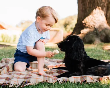 Prince William and Kate Middleton’s Beloved Family Dog, Lupo, Has Sadly Passed Away