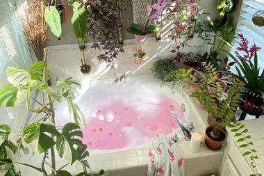 Everything To Know About The Low-Maintenance Houseplant Trend Taking Over Your Bathroom