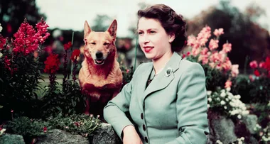 10 Of The Best Royal Family Documentaries For Those With A ‘Crown’-Shaped Hole In Their Lives