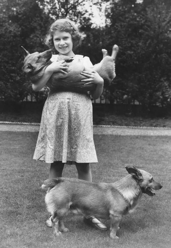 Queen Elizabeth Dogs
