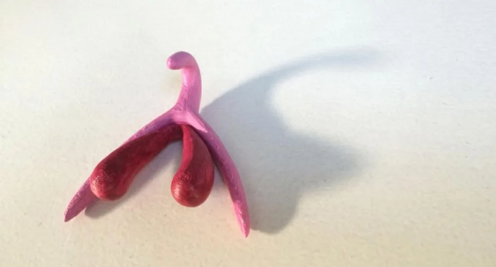 What Your Uterus Really Looks Like | marie claire