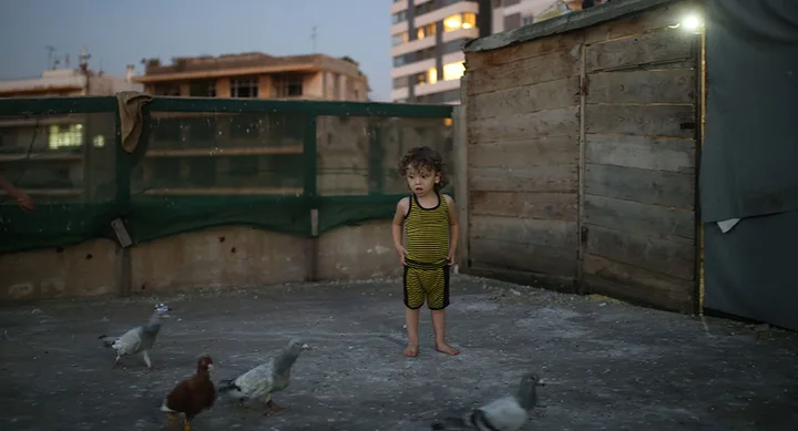 Child in striped outfit stands on a rooftop with pigeons at dusk, surrounded by wooden structures and cityscape in the background.