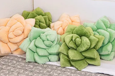 Succulent Pillows Exist, So Consider Our Homes Officially Redecorated