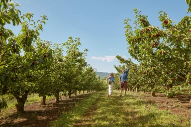 48 Hours In Orange: Where To Stay, Dine And Drink In Rural NSW’s Culinary Gem