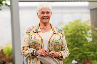 An Ode To the Transcendent Charm Of Dame Judi Dench