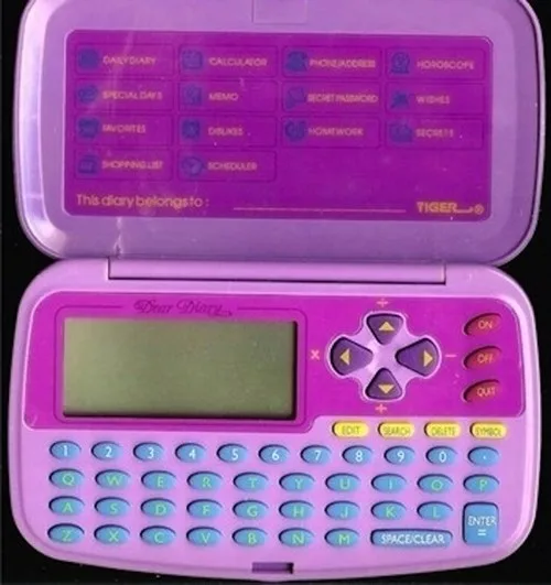 electronic diary