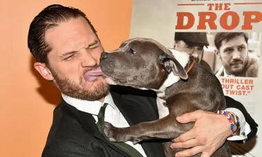 Man holding a dog licking his face with a movie poster for "The Drop" in the background.