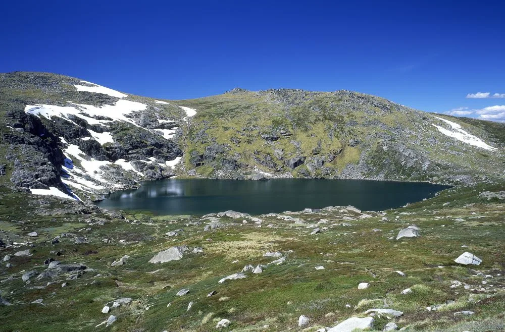 snowy mountains