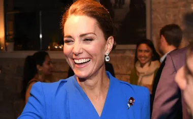 Kate Middleton Glowed In Cobalt Blue Next To Prince William For COP26 Reception