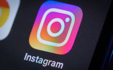 Here’s What’s Really Going On Behind The Viral Pet Pics For Trees Instagram Sticker