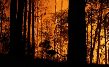 COP26 Has Ended: Here’s How Australia Ended Up