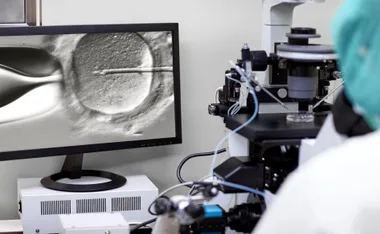 In A Major Win, The Victorian Government Will Restart IVF Procedures