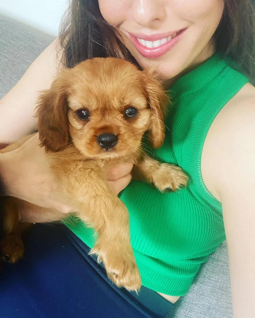 kathryn madden dog