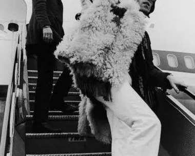 Three rock musicians in flamboyant outfits descend airplane stairs.