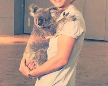 Harry Styles with a Koala