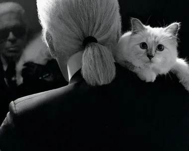 Choupette Lagerfeld