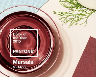 Colour of the year Marsala