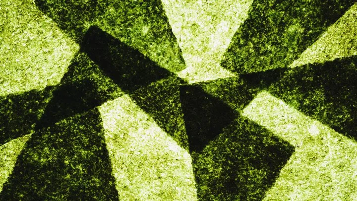 Close-up shot of overlapping, textured green seaweed sheets used in seaweed snacks.