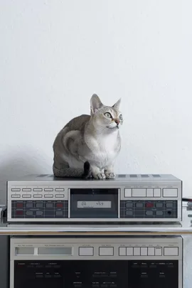 A cat sitting on a vintage stereo system against a light-colored wall.