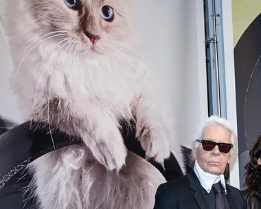 A man in black sunglasses and suit stands beside a large poster of a fluffy white cat with blue eyes.