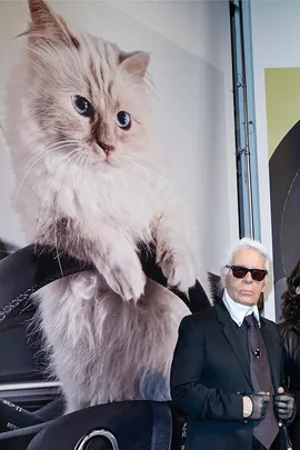 A man in black sunglasses and suit stands beside a large poster of a fluffy white cat with blue eyes.