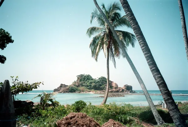 View of a rocky island with lush greenery and palm trees by the turquoise sea in Sri Lanka.