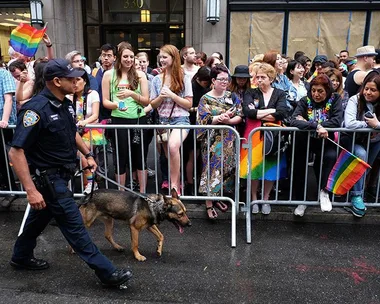 New York cop gets down at Pride Parade