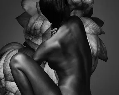 Nude abstract photograph of a person with back facing, surrounded by large petal-like shapes, in grayscale.