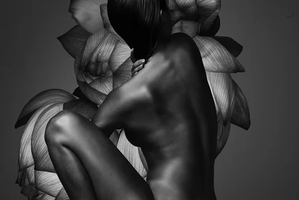 Nude abstract photograph of a person with back facing, surrounded by large petal-like shapes, in grayscale.