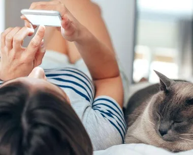 Person lying on bed using a smartphone with a sleeping cat beside them.