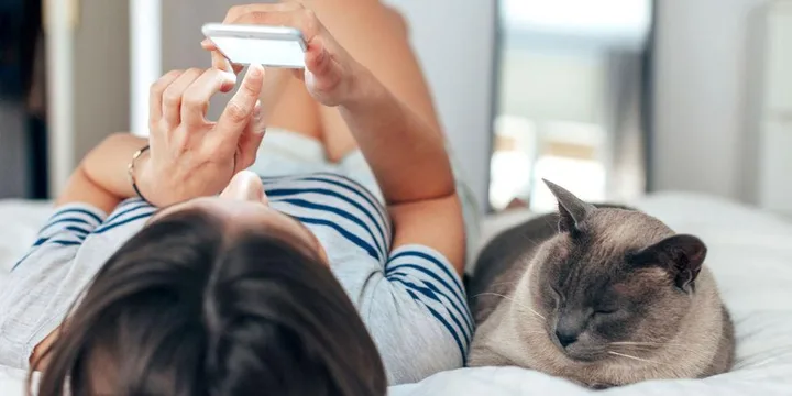 Person lying on bed using a smartphone with a sleeping cat beside them.