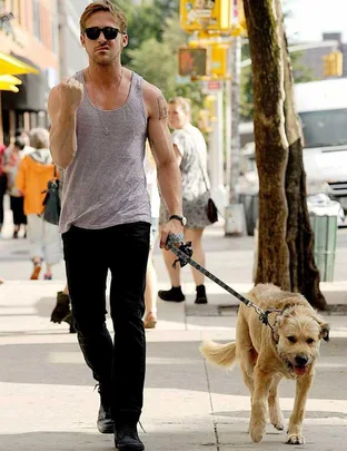 A person in sunglasses and a tank top walks a large, shaggy dog on a city sidewalk.