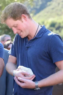 Person in blue shirt smiling while gently cradling a small hedgehog outdoors.