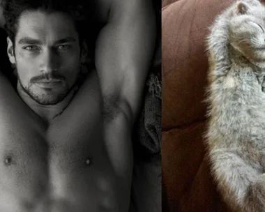 There Is Now A Whole Book Of Hot Dudes Posing Like Cats