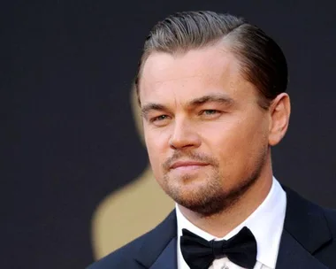 OK So 90s Era Leonardo DiCaprio Has A Swedish Doppelganger