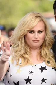 Rebel Wilson Very Effectively Slams The Kardashians In Radio Interview