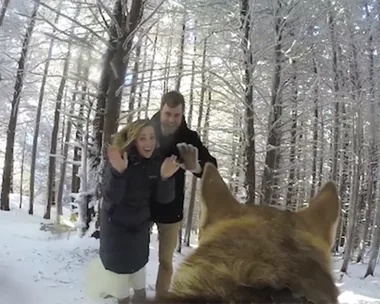 Couple Lets Their Dog Film Their Wedding