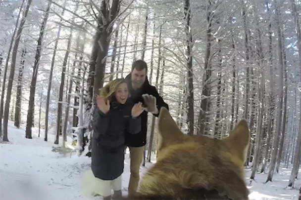 Couple Lets Their Dog Film Their Wedding