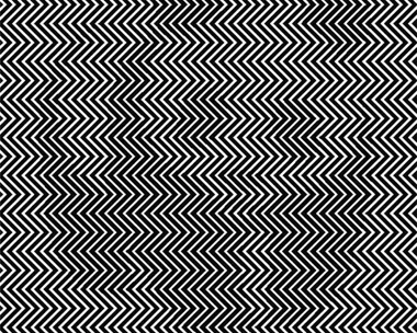 Can You See The Panda? This Optical Illusion Is BLOWING OUR MINDS