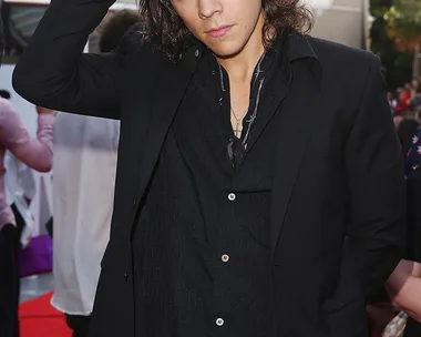 Harry Styles on the red carpet