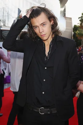 Harry Styles on the red carpet