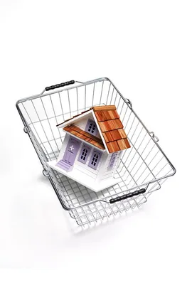 A toy house in a shopping basket.