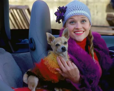 Elle Woods and Bruiser Woods in 'Legally Blonde'.