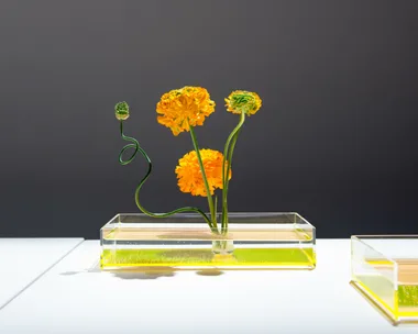 <em>An example of Ikebana by Takashi Kimura of Plantica</em>