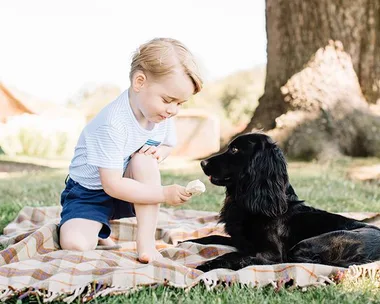 Prince George birthday portrait.